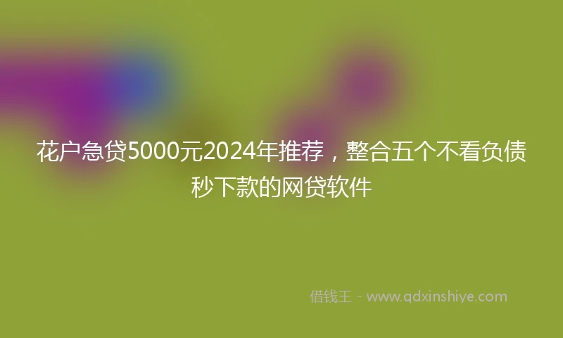 花户急贷5000元2024年推荐，整合五个不看负债秒下款的网贷软件
