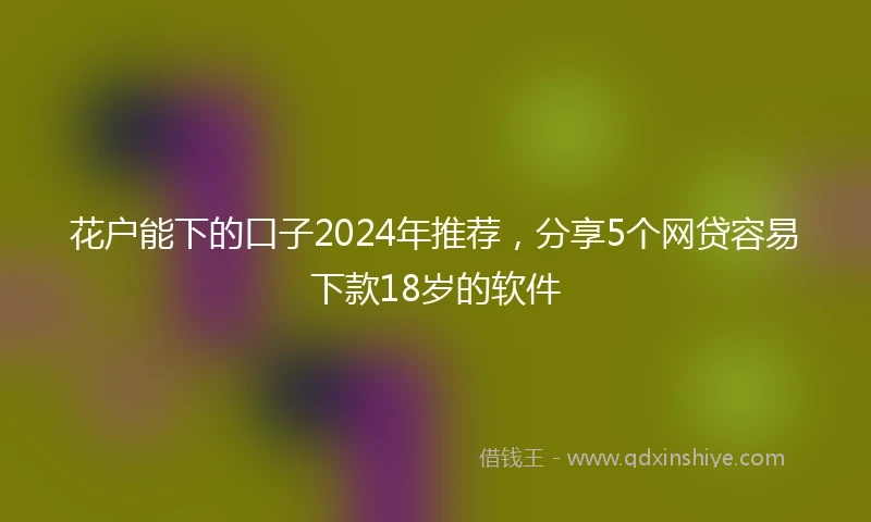花户能下的口子2024年推荐，分享5个网贷容易下款18岁的软件