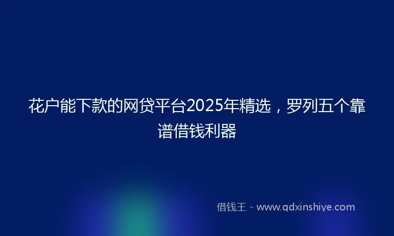 花户能下款的网贷平台2025年精选，罗列五个靠谱借钱利器
