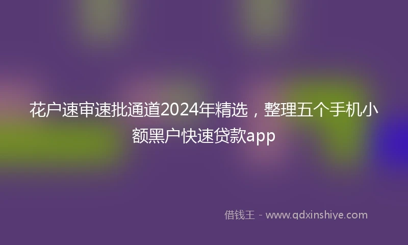 花户速审速批通道2024年精选，整理五个手机小额黑户快速贷款app