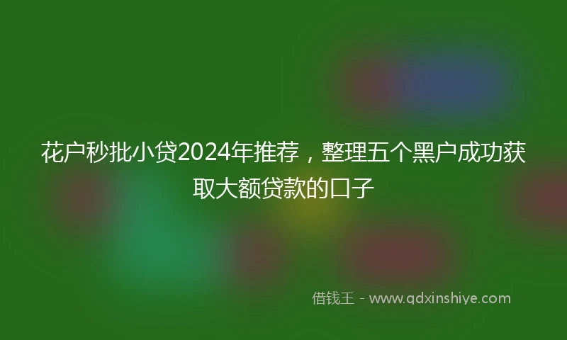 花户秒批小贷2024年推荐，整理五个黑户成功获取大额贷款的口子