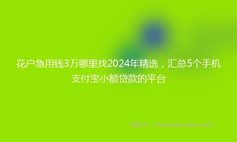 花户急用钱3万哪里找2024年精选，汇总5个手机支付宝小额贷款的平台