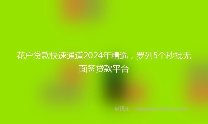 花户贷款快速通道2024年精选，罗列5个秒批无面签贷款平台