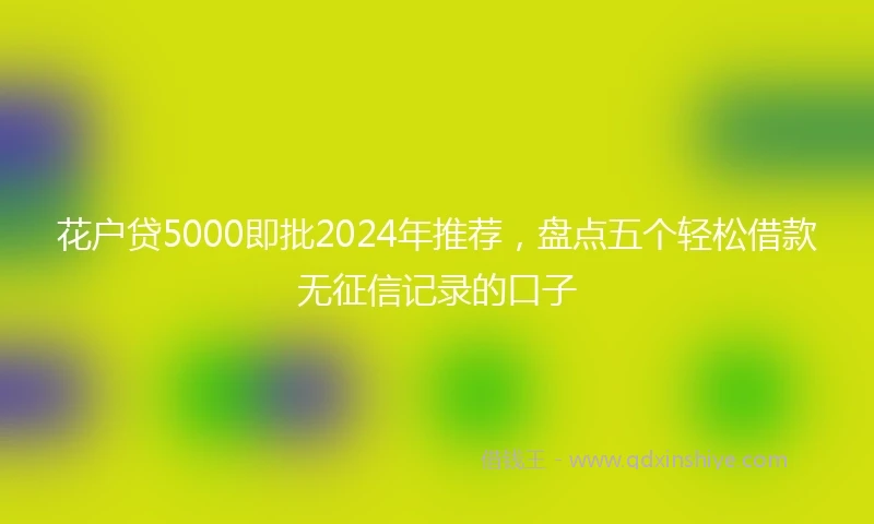 花户贷5000即批2024年推荐，盘点五个轻松借款无征信记录的口子