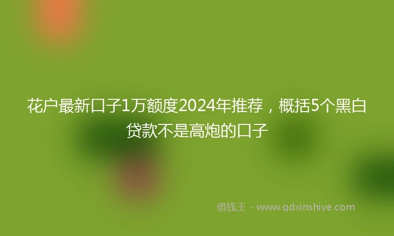 花户最新口子1万额度2024年推荐，概括5个黑白贷款不是高炮的口子