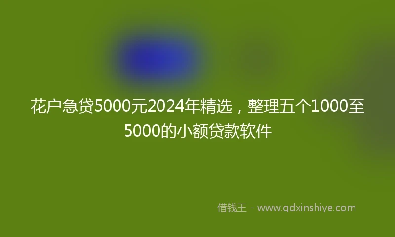花户急贷5000元2024年精选，整理五个1000至5000的小额贷款软件