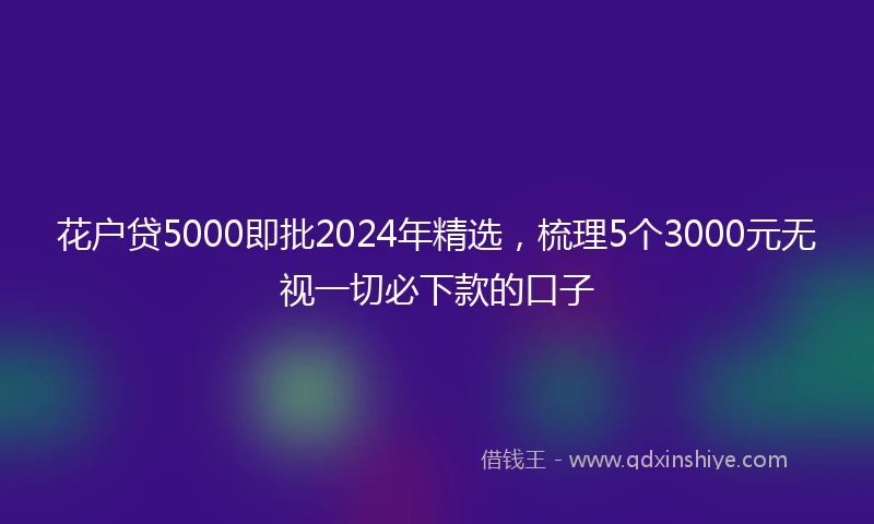 花户贷5000即批2024年精选，梳理5个3000元无视一切必下款的口子