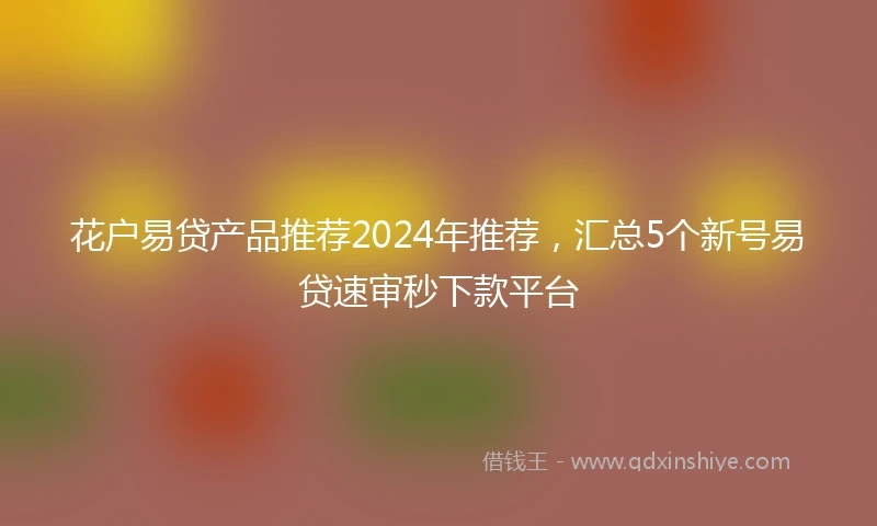 花户易贷产品推荐2024年推荐，汇总5个新号易贷速审秒下款平台