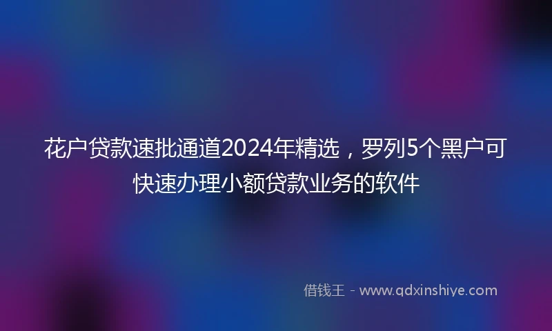 花户贷款速批通道2024年精选，罗列5个黑户可快速办理小额贷款业务的软件
