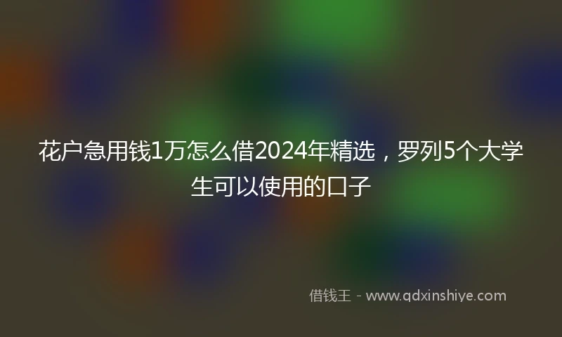 花户急用钱1万怎么借2024年精选，罗列5个大学生可以使用的口子