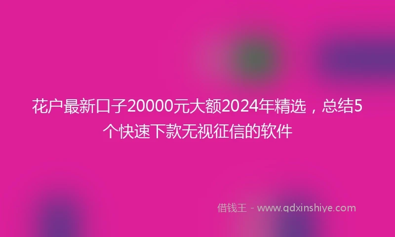 花户最新口子20000元大额2024年精选，总结5个快速下款无视征信的软件