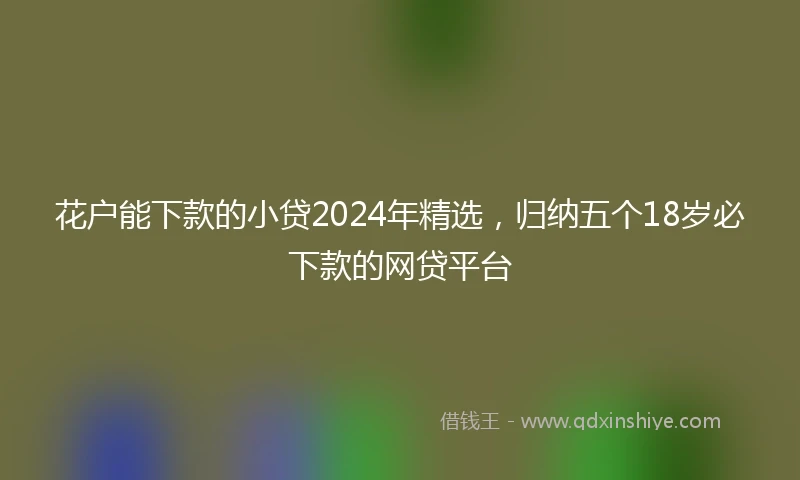 花户能下款的小贷2024年精选，归纳五个18岁必下款的网贷平台