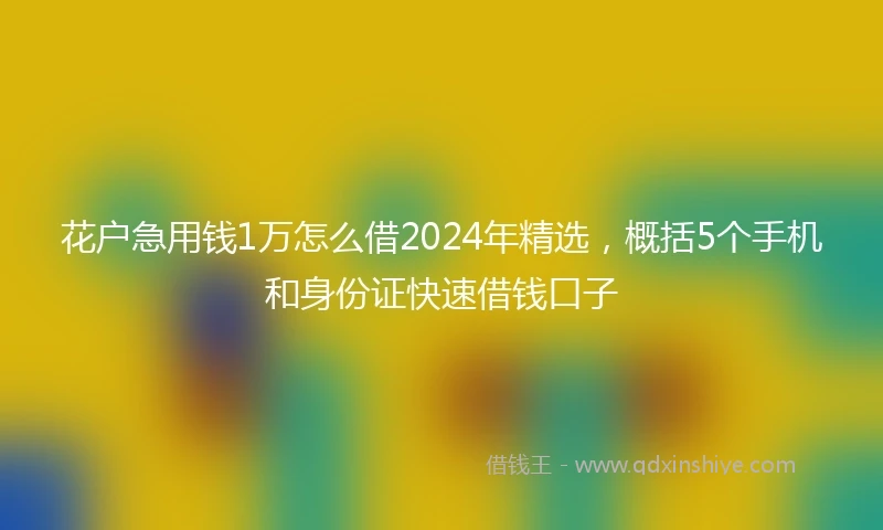 花户急用钱1万怎么借2024年精选，概括5个手机和身份证快速借钱口子