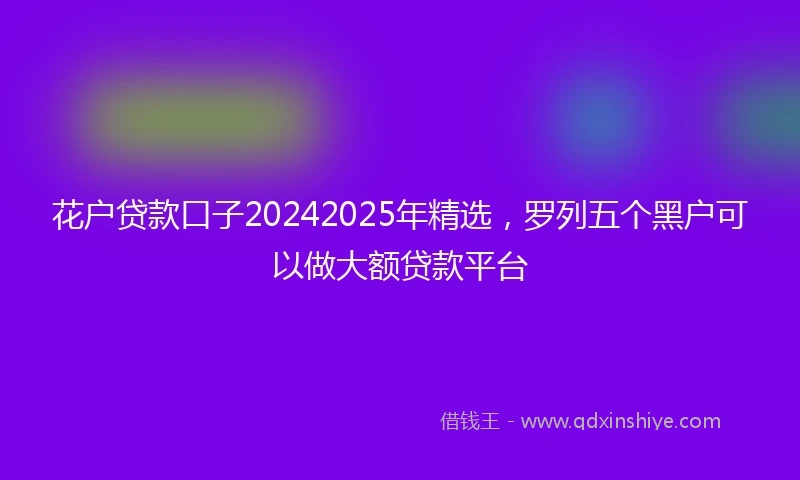 花户贷款口子20242025年精选，罗列五个黑户可以做大额贷款平台