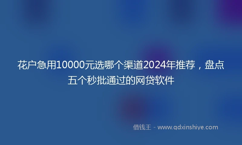 花户急用10000元选哪个渠道2024年推荐，盘点五个秒批通过的网贷软件