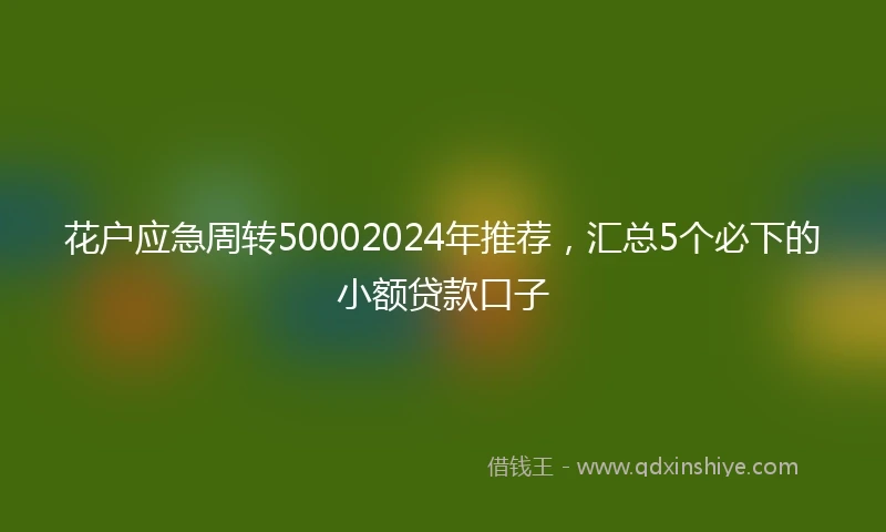 花户应急周转50002024年推荐，汇总5个必下的小额贷款口子