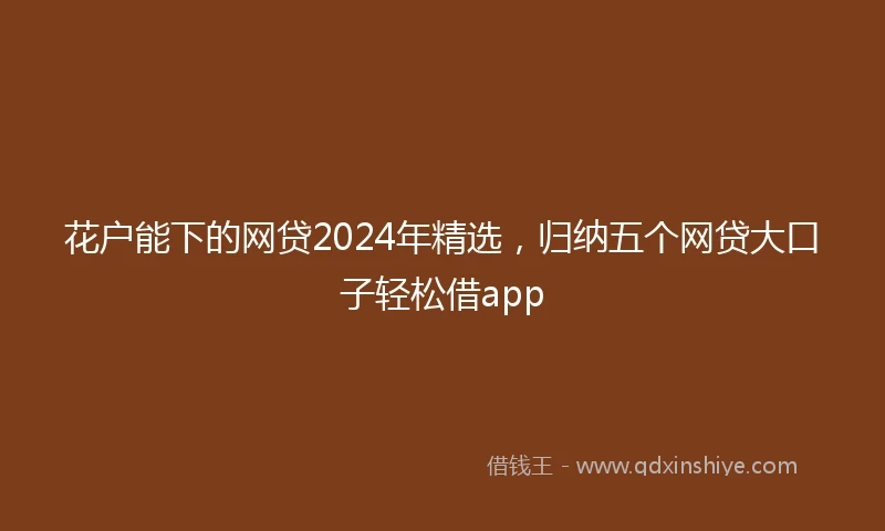 花户能下的网贷2024年精选，归纳五个网贷大口子轻松借app
