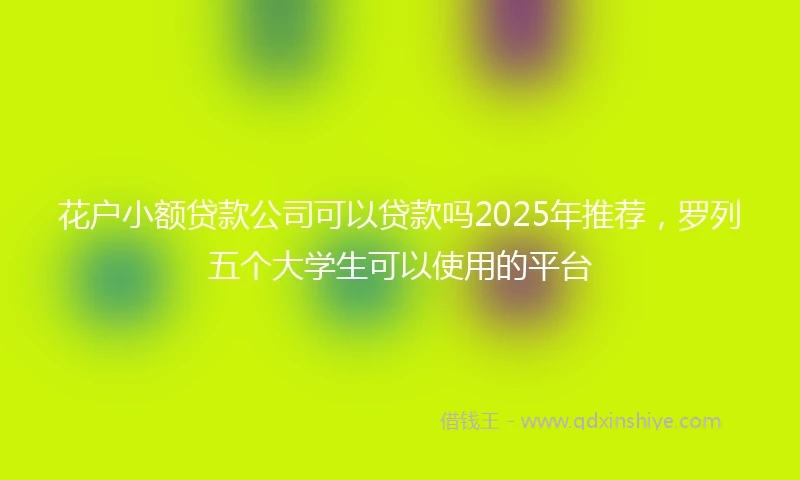 花户小额贷款公司可以贷款吗2025年推荐，罗列五个大学生可以使用的平台