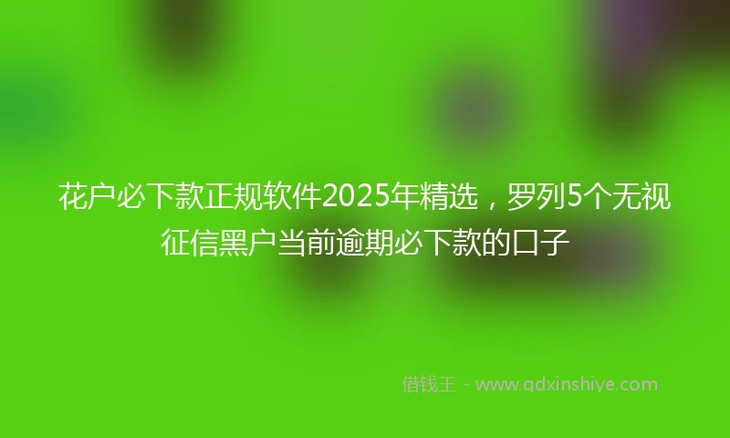 花户必下款正规软件2025年精选，罗列5个无视征信黑户当前逾期必下款的口子