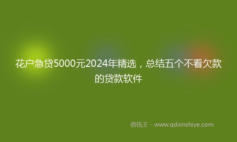 花户急贷5000元2024年精选，总结五个不看欠款的贷款软件