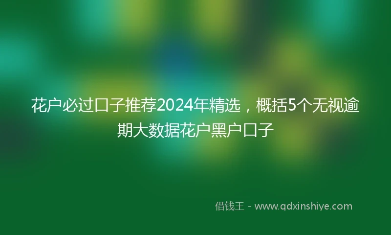 花户必过口子推荐2024年精选，概括5个无视逾期大数据花户黑户口子