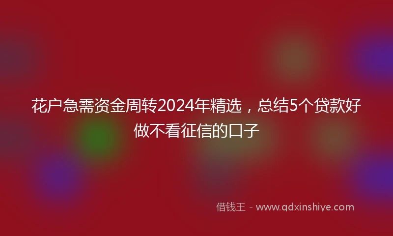 花户急需资金周转2024年精选，总结5个贷款好做不看征信的口子