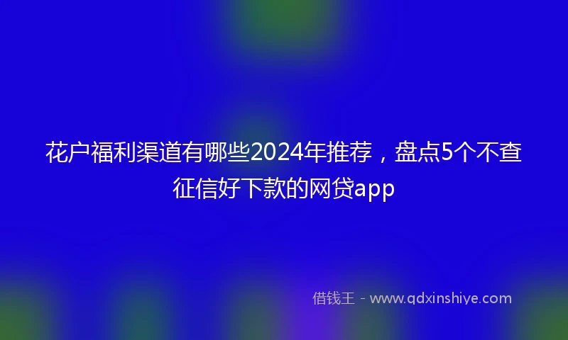花户福利渠道有哪些2024年推荐，盘点5个不查征信好下款的网贷app