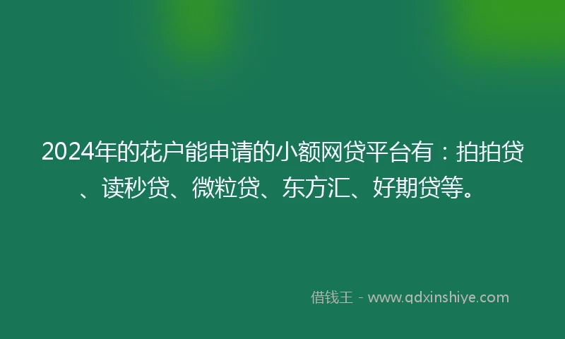 2024年的花户能申请的小额网贷平台有：拍拍贷、读秒贷、微粒贷、东方汇、好期贷等。