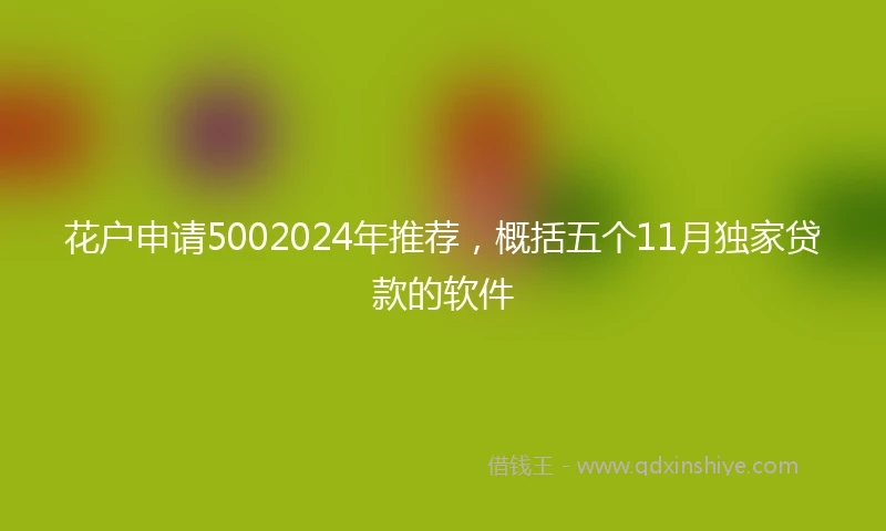 花户申请5002024年推荐，概括五个11月独家贷款的软件