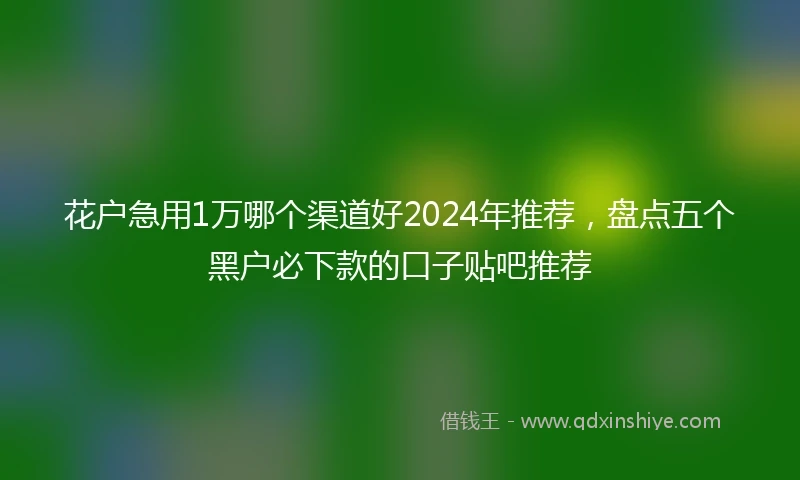 花户急用1万哪个渠道好2024年推荐，盘点五个黑户必下款的口子贴吧推荐