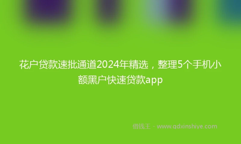 花户贷款速批通道2024年精选，整理5个手机小额黑户快速贷款app