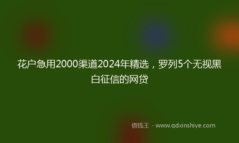 花户急用2000渠道2024年精选，罗列5个无视黑白征信的网贷