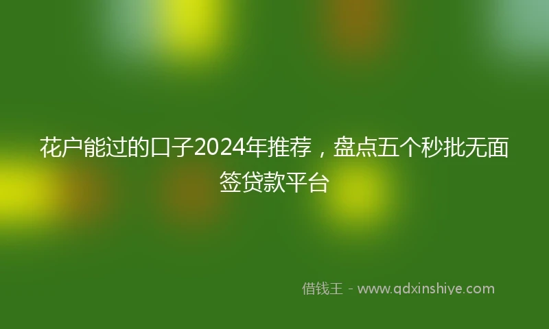 花户能过的口子2024年推荐，盘点五个秒批无面签贷款平台