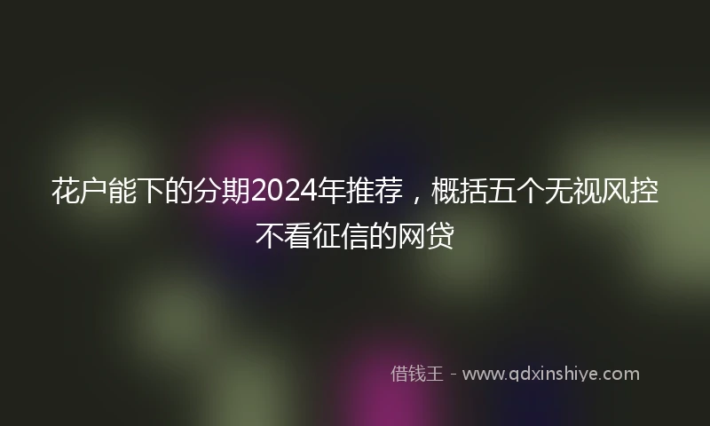 花户能下的分期2024年推荐，概括五个无视风控不看征信的网贷