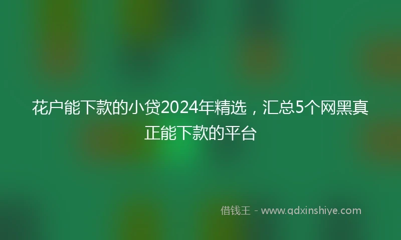 花户能下款的小贷2024年精选，汇总5个网黑真正能下款的平台