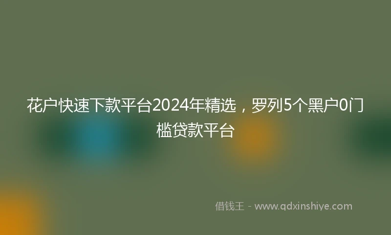 花户快速下款平台2024年精选，罗列5个黑户0门槛贷款平台
