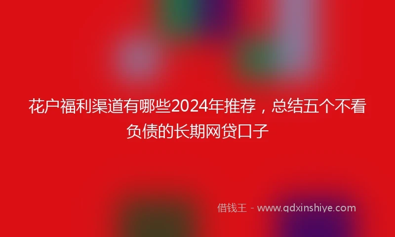 花户福利渠道有哪些2024年推荐，总结五个不看负债的长期网贷口子