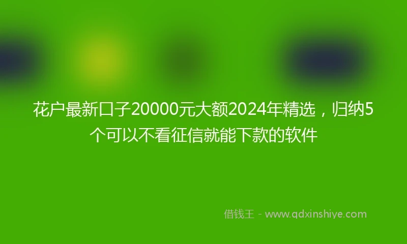 花户最新口子20000元大额2024年精选，归纳5个可以不看征信就能下款的软件
