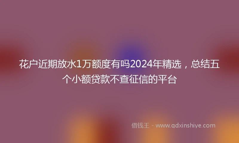 花户近期放水1万额度有吗2024年精选，总结五个小额贷款不查征信的平台