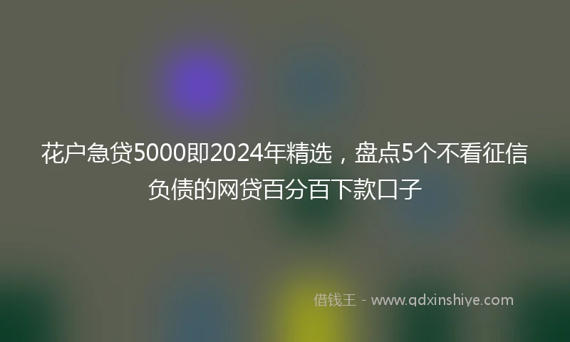 花户急贷5000即2024年精选，盘点5个不看征信负债的网贷百分百下款口子