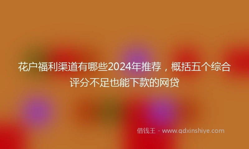花户福利渠道有哪些2024年推荐，概括五个综合评分不足也能下款的网贷