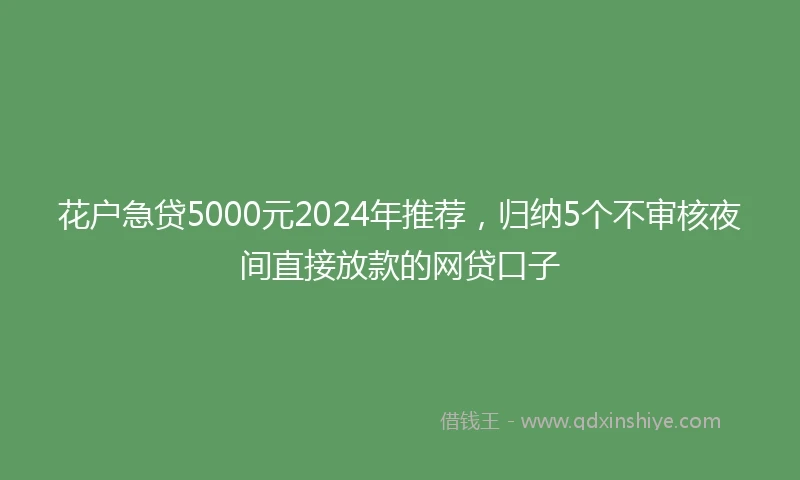 花户急贷5000元2024年推荐，归纳5个不审核夜间直接放款的网贷口子