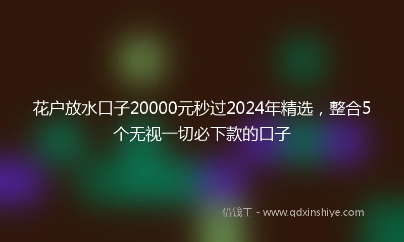 花户放水口子20000元秒过2024年精选，整合5个无视一切必下款的口子