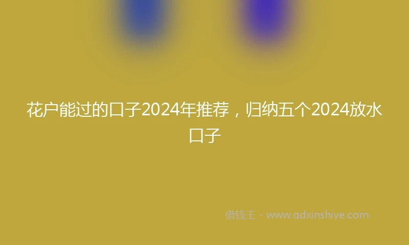 花户能过的口子2024年推荐，归纳五个2024放水口子