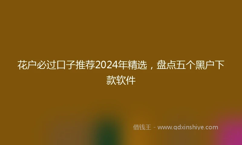 花户必过口子推荐2024年精选，盘点五个黑户下款软件