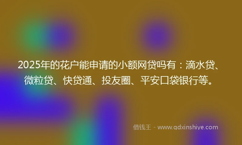 2025年的花户能申请的小额网贷吗有：滴水贷、微粒贷、快贷通、投友圈、平安口袋银行等。