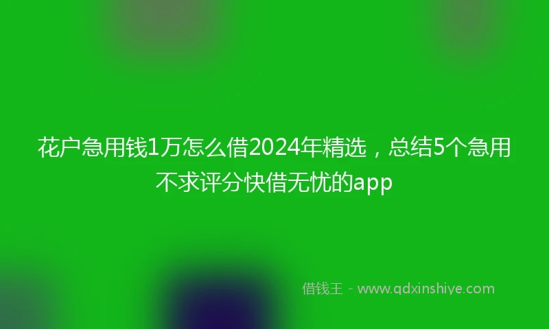 花户急用钱1万怎么借2024年精选，总结5个急用不求评分快借无忧的app