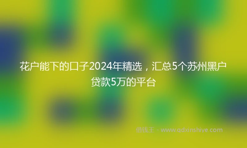 花户能下的口子2024年精选，汇总5个苏州黑户贷款5万的平台