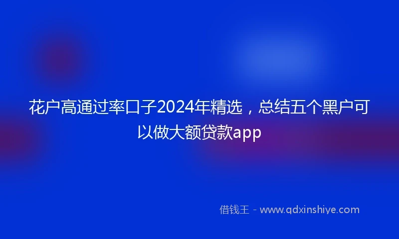 花户高通过率口子2024年精选，总结五个黑户可以做大额贷款app