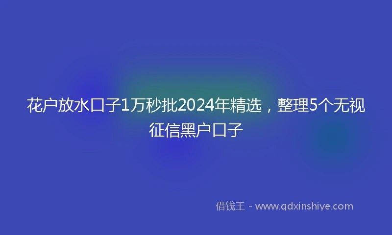 花户放水口子1万秒批2024年精选，整理5个无视征信黑户口子